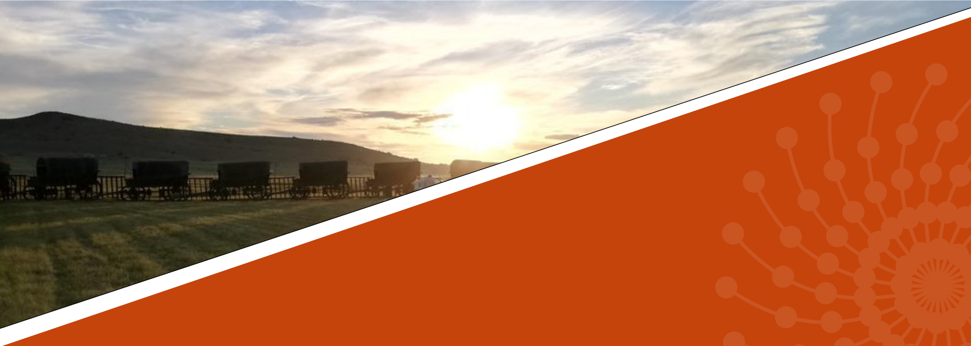 Ossewa banner